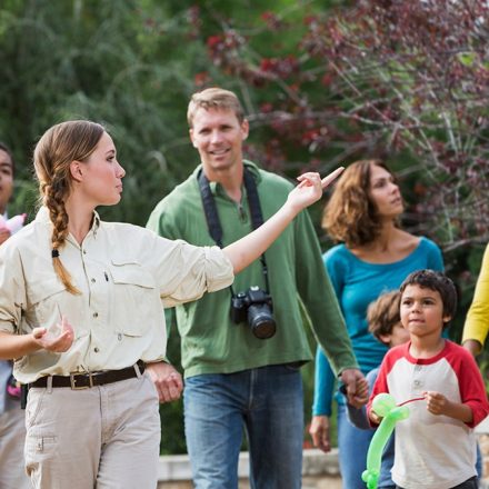 Tour Guide – 5 Bad Reasons For Being Employed As an excursion Guide